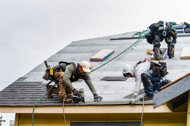 Professional Gutter Installation technician working in Elba, AL